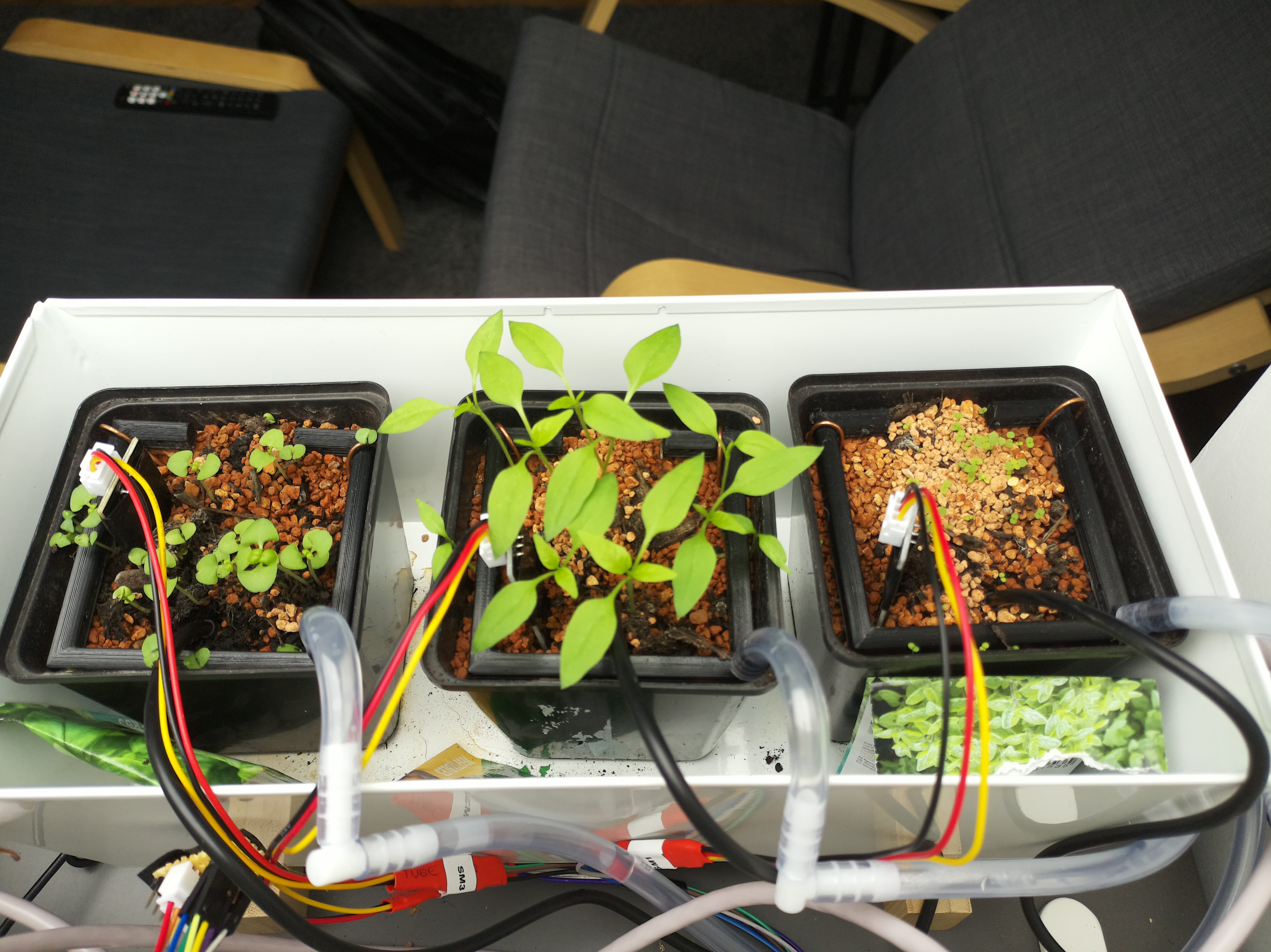 Timelapse snapshot from the Herb Hub 365 greenhouse on March 16, 2026
