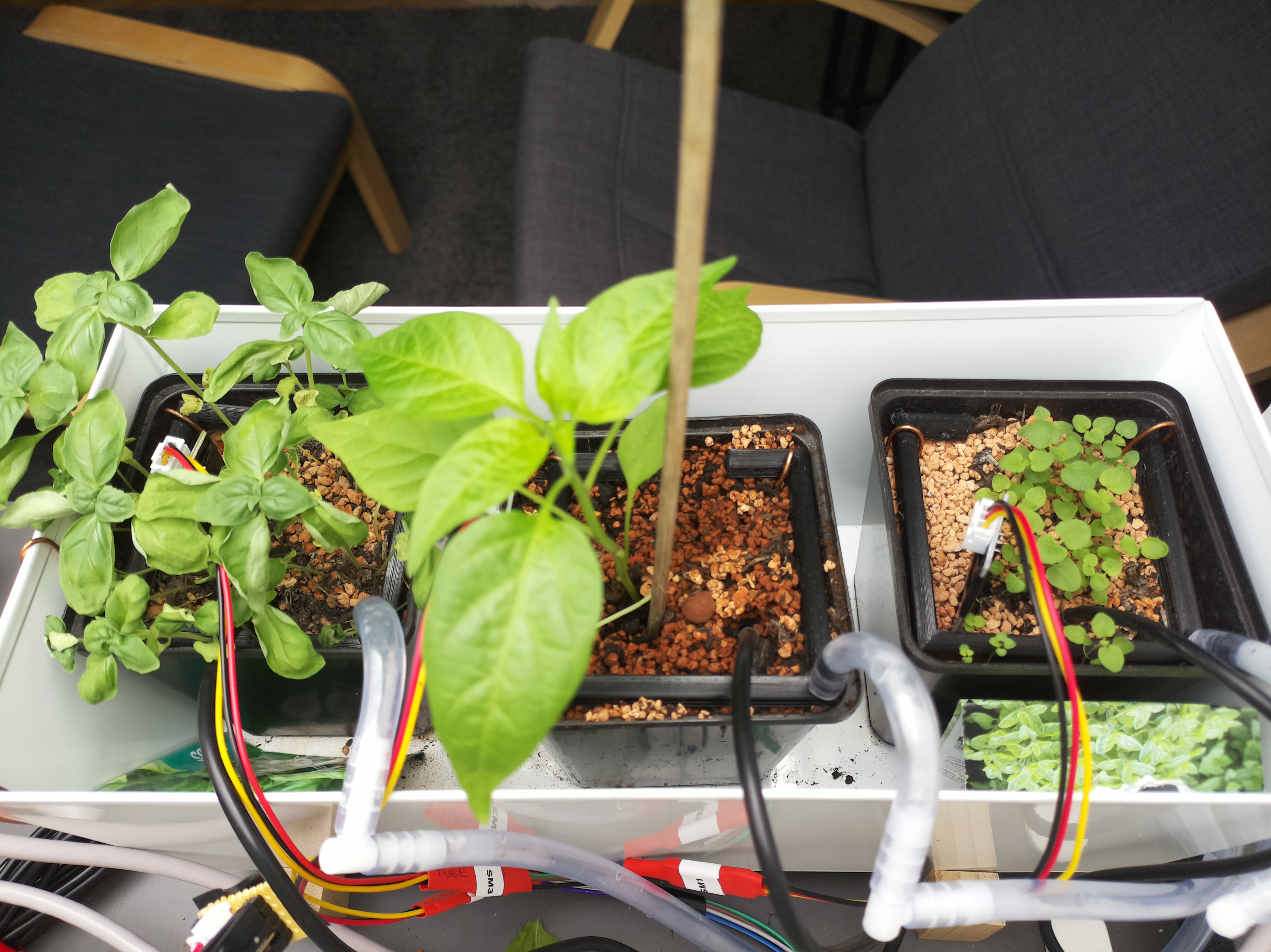 Greenhouse photo from Greenhouse Update: April 15, 2026