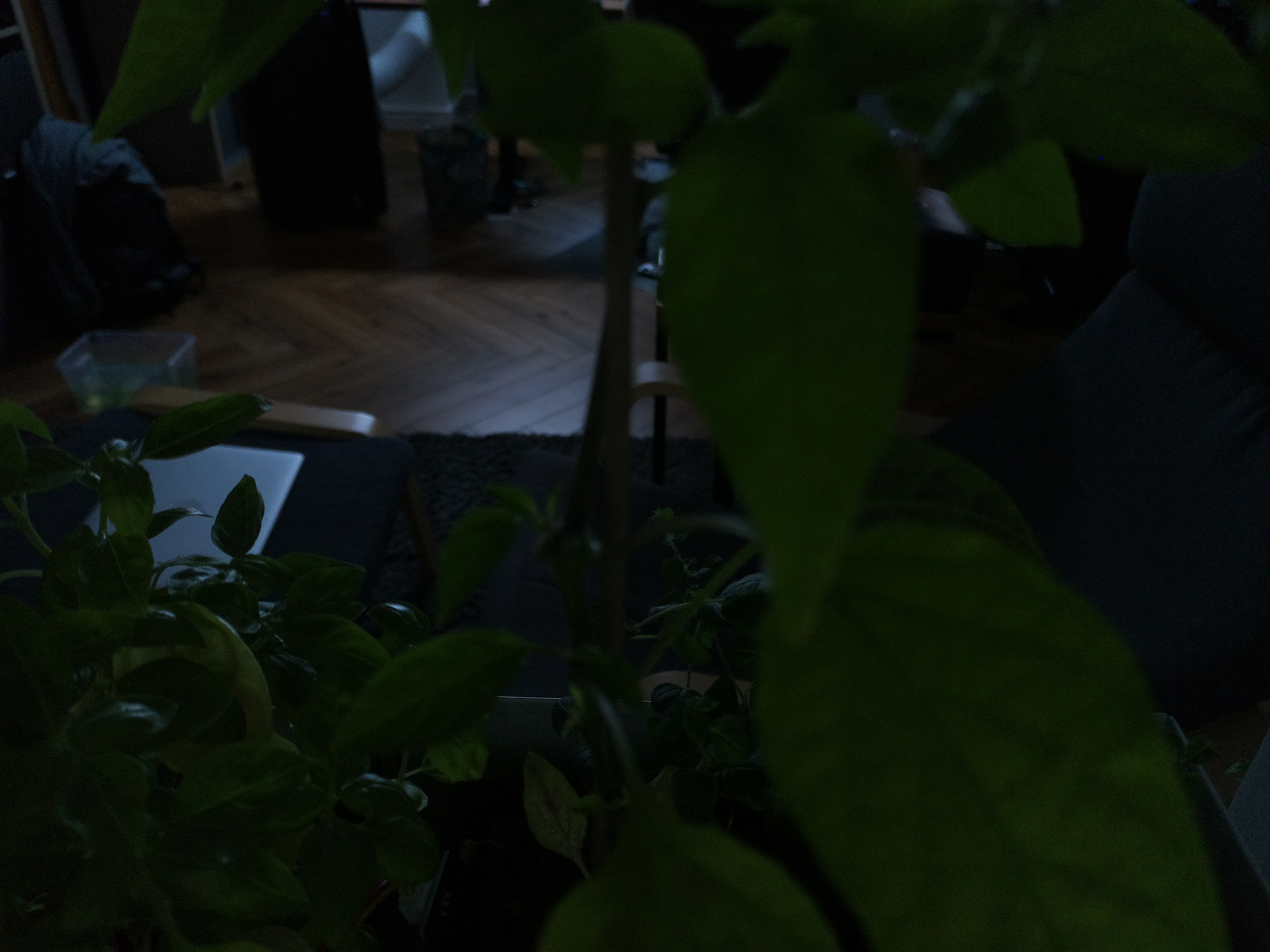 Timelapse image for June 25, 2026