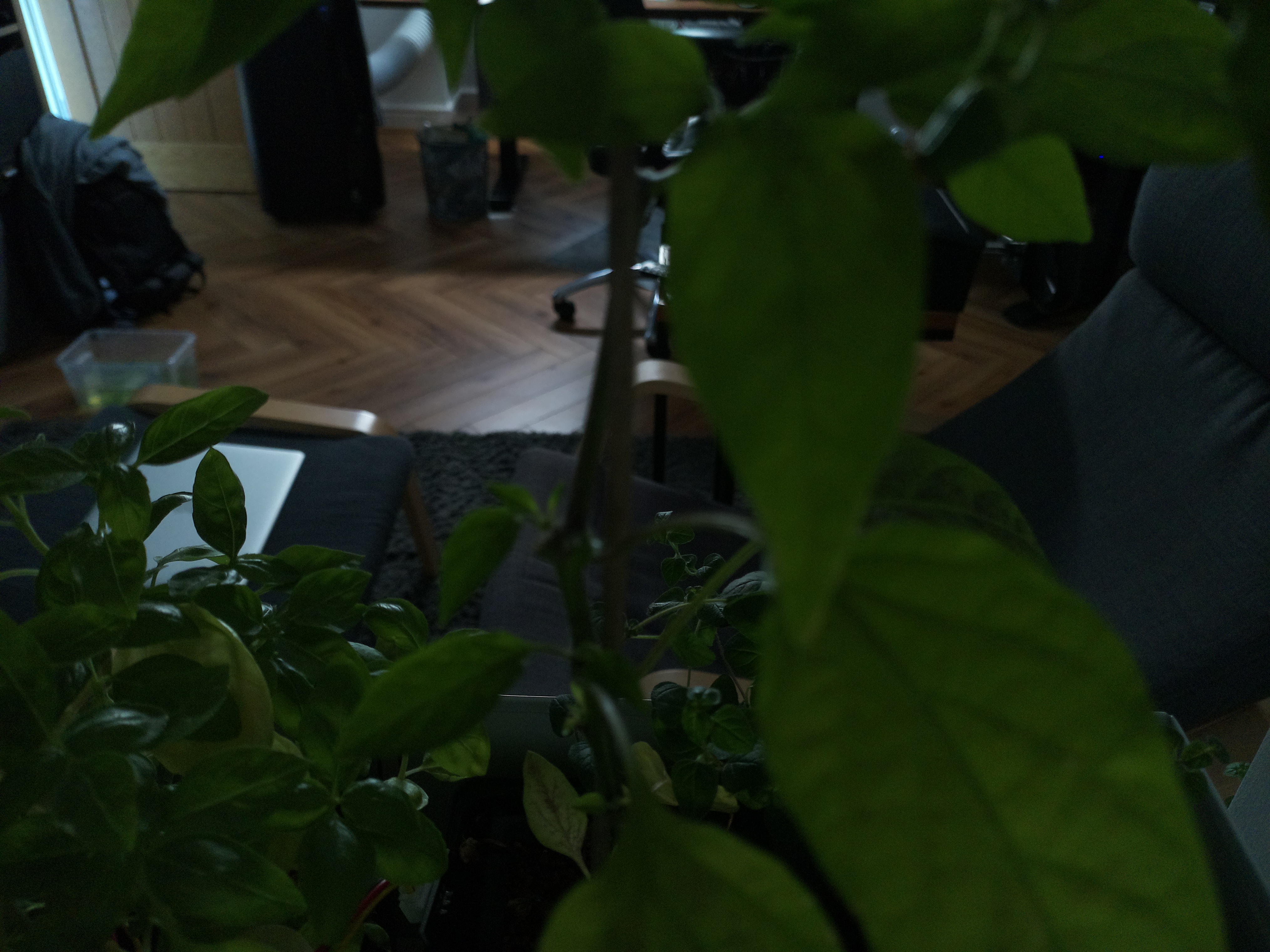 Timelapse image for June 25, 2026