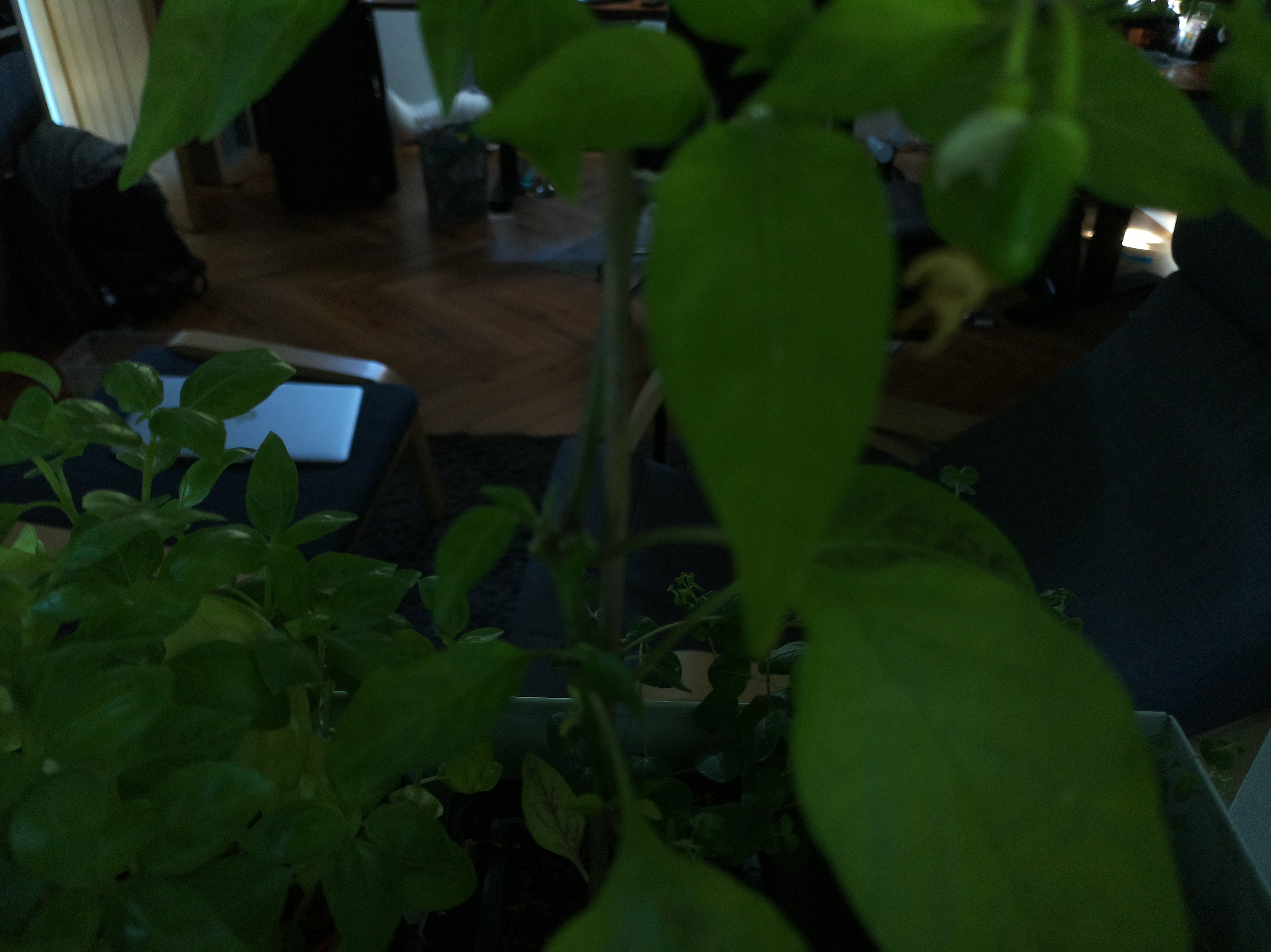 Timelapse image for June 27, 2026