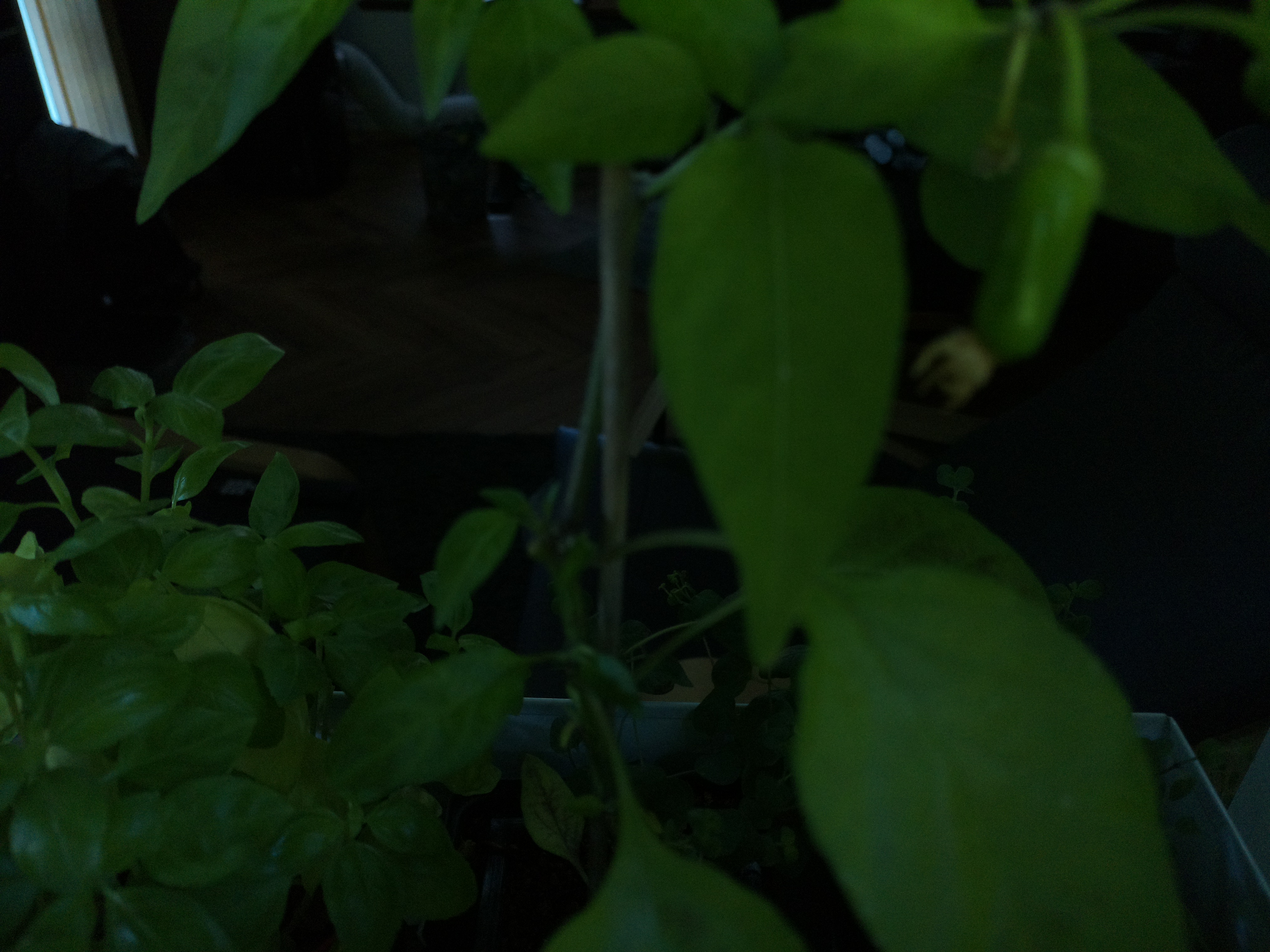 Timelapse image for June 28, 2026