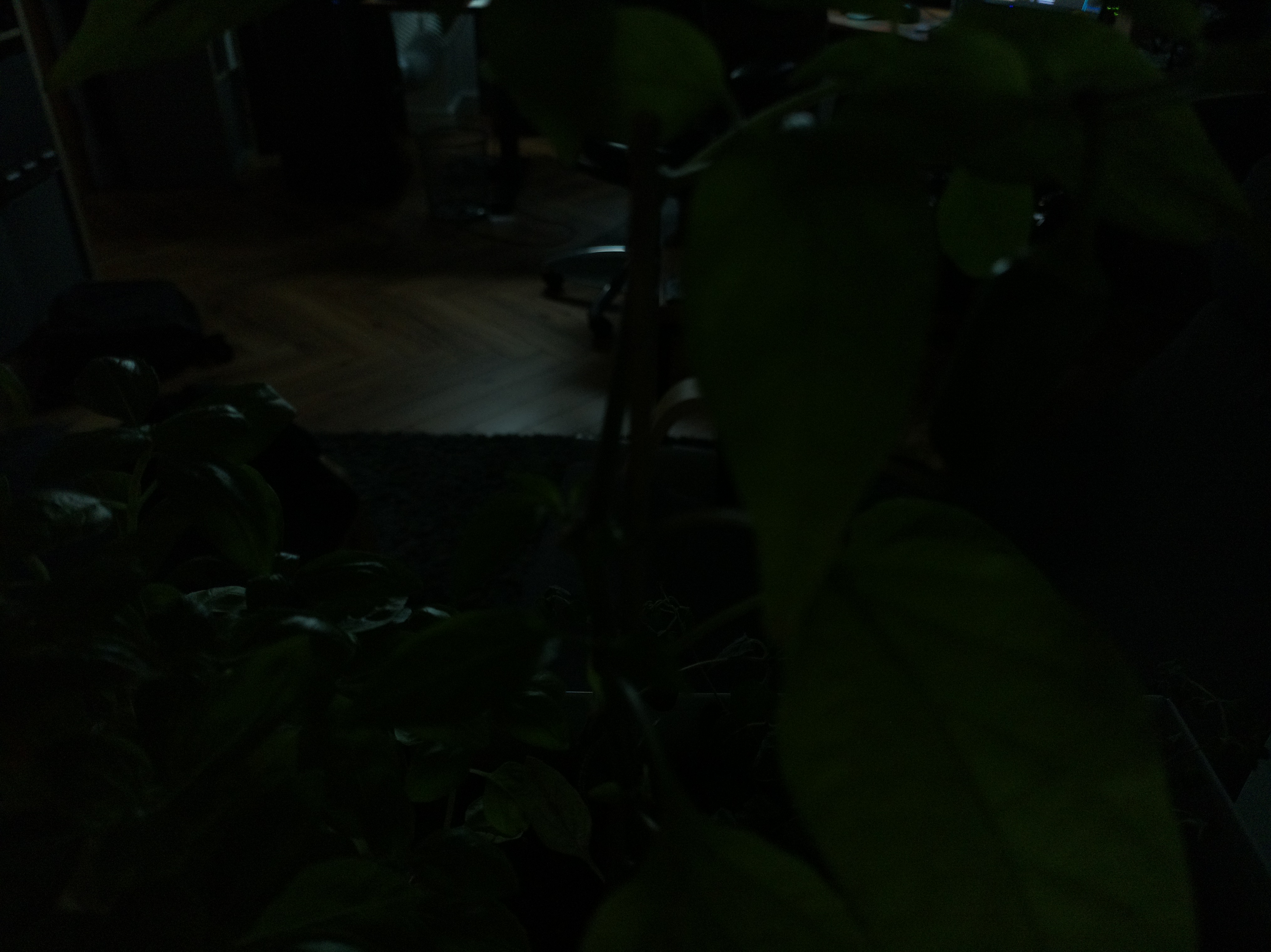 Timelapse image for July 7, 2026