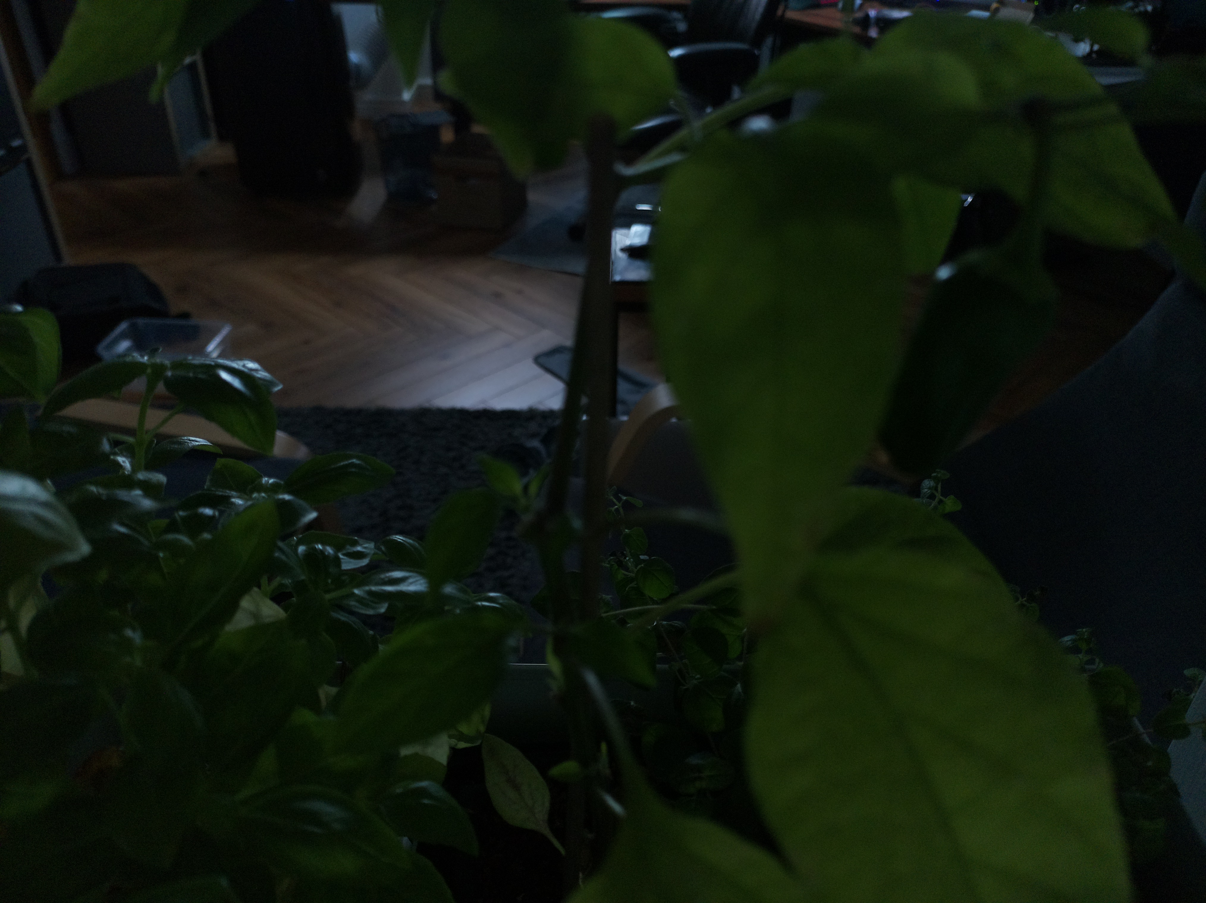 Timelapse image for July 10, 2026