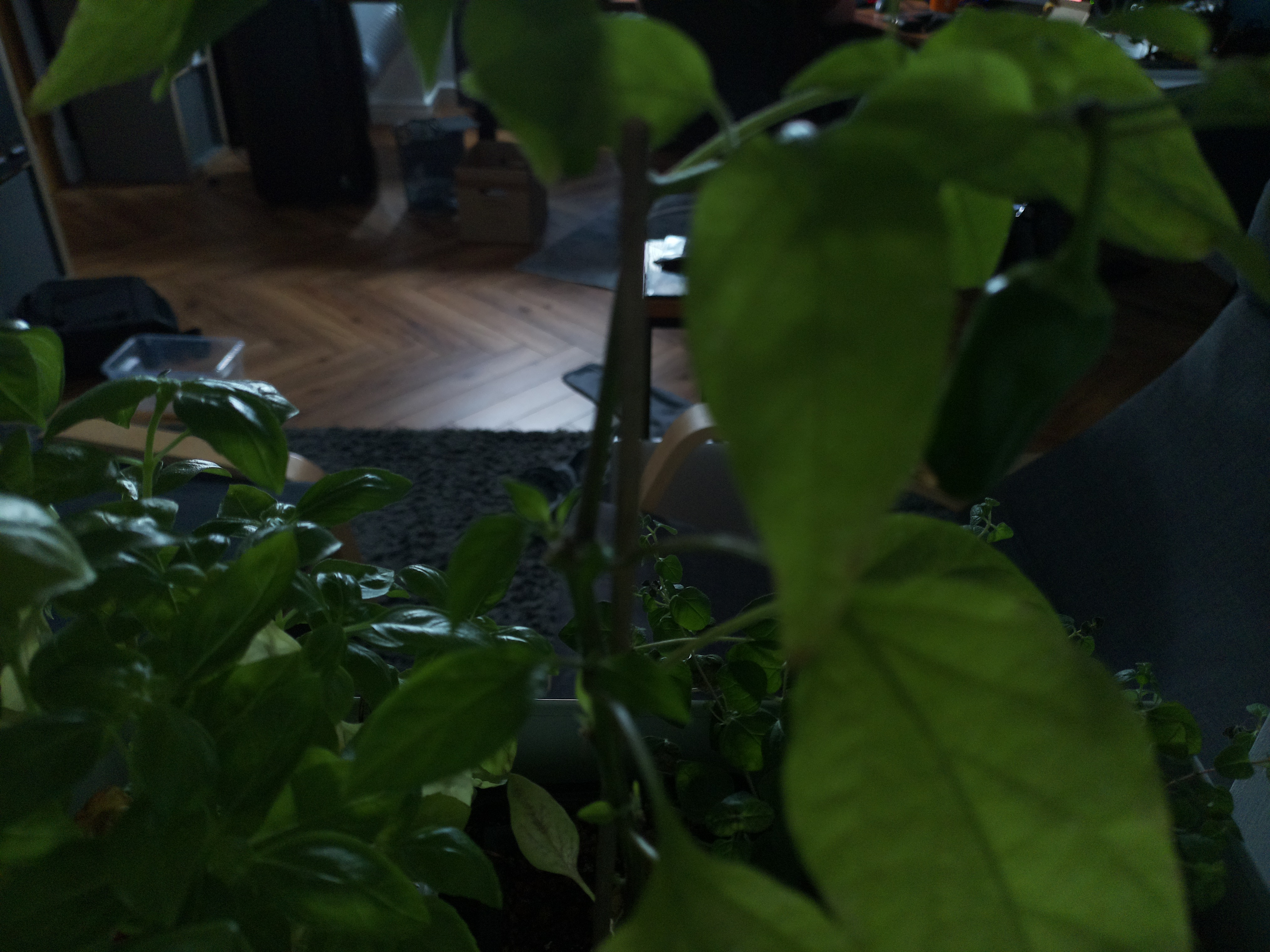 Timelapse image for July 10, 2026