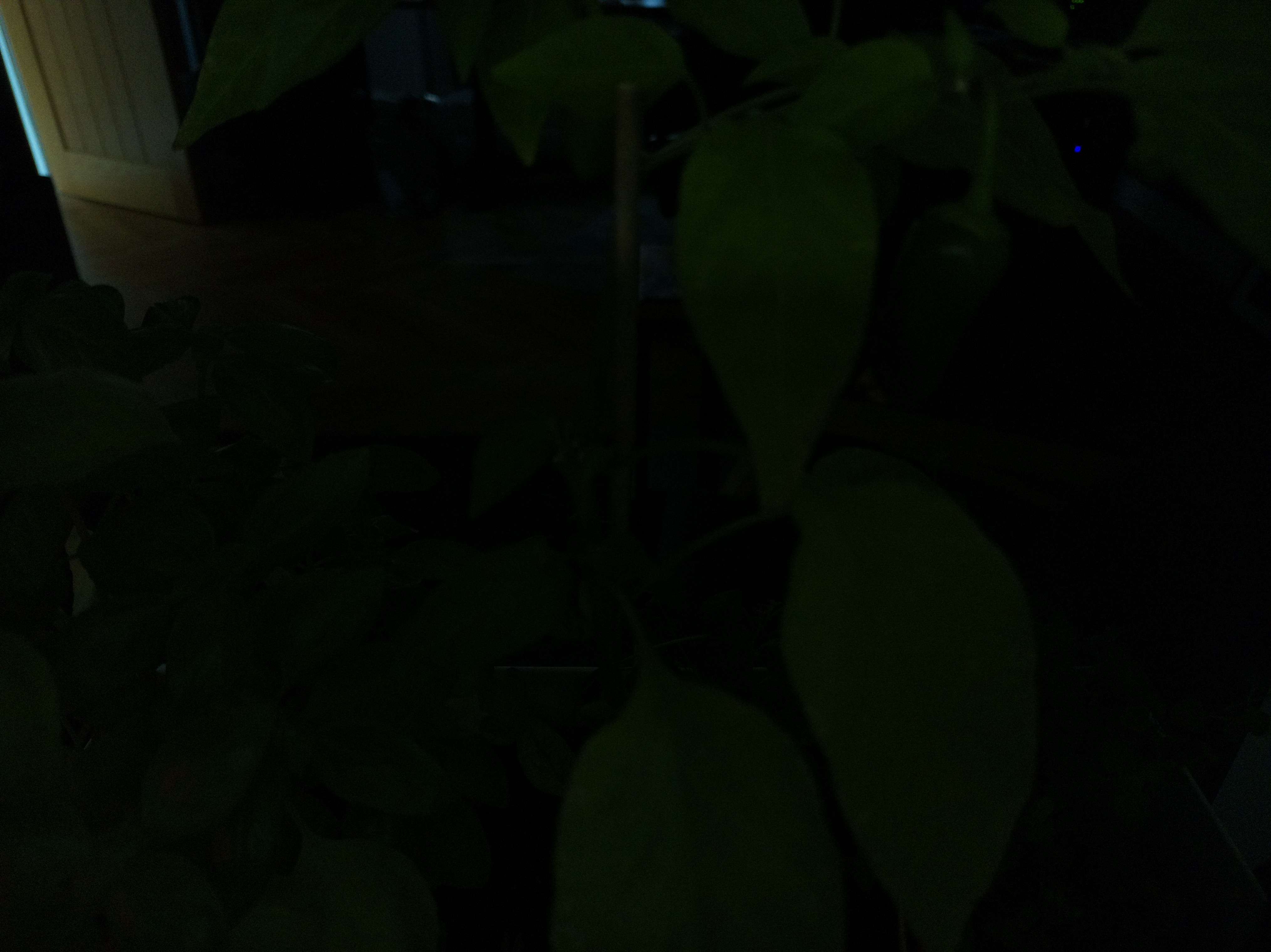Timelapse image for July 15, 2026