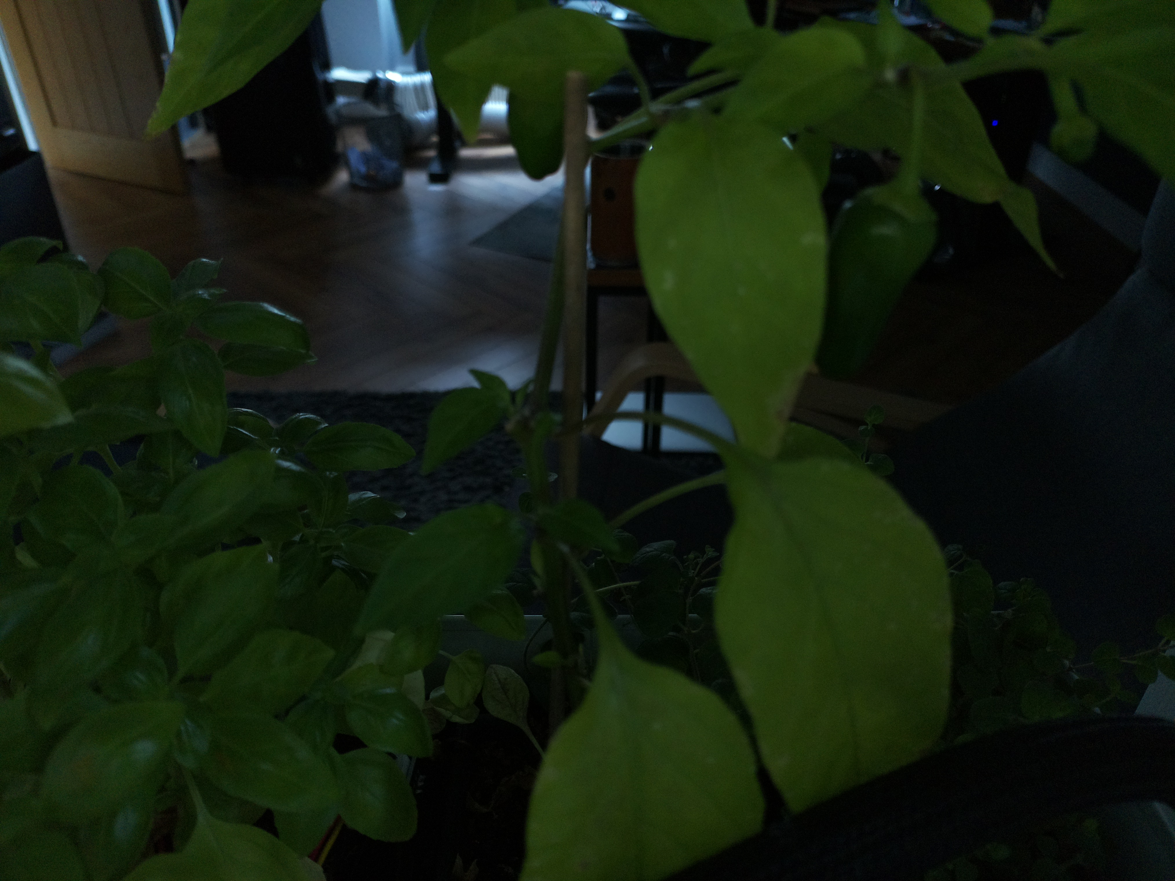 Timelapse image for July 17, 2026